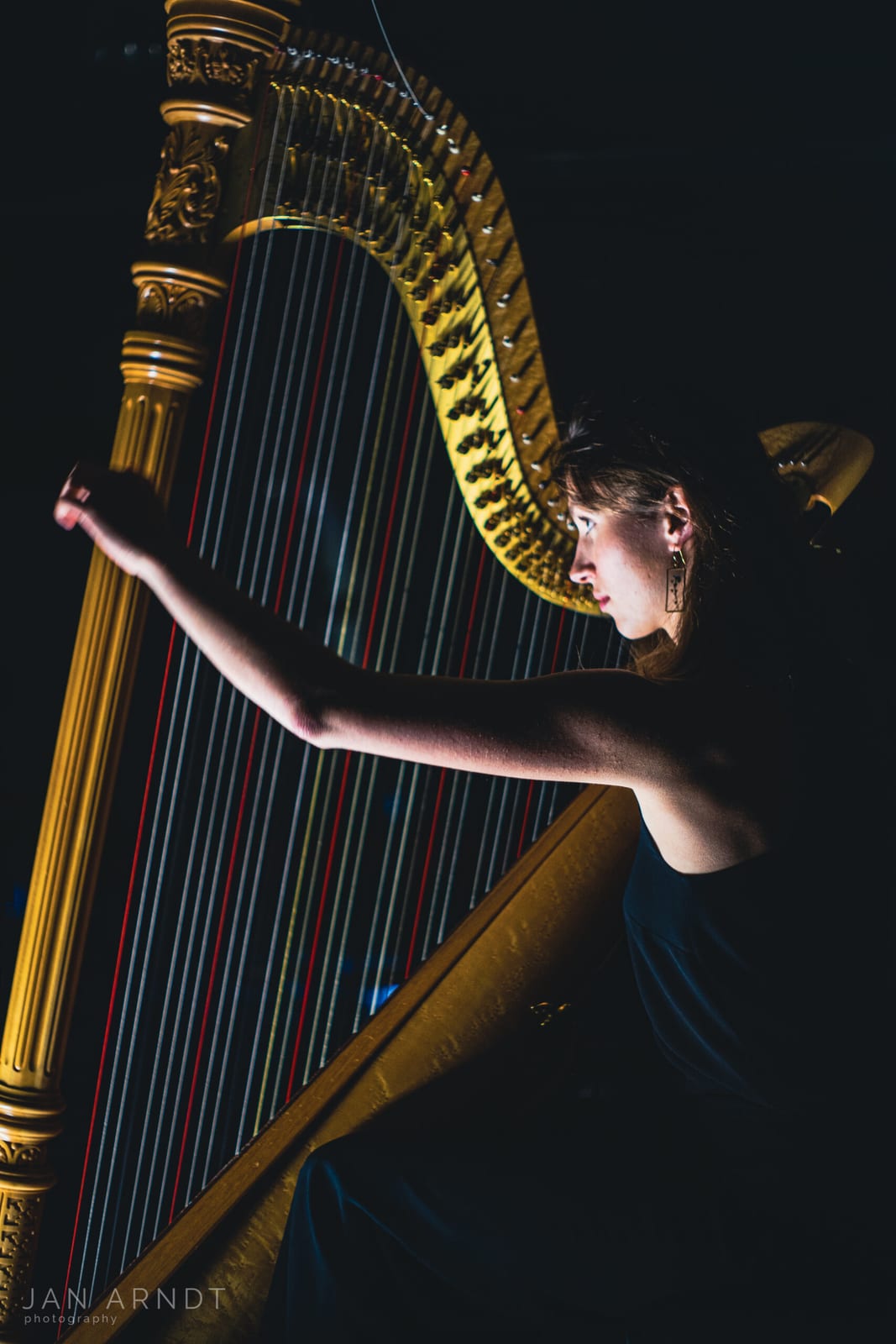 Sara Brink-Nielsen Trio bij PODIUM1390